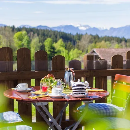 Alpenblick Hotel